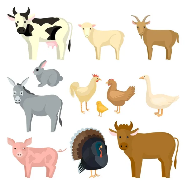Nastavit Hospodářská Zvířata Izolované Bílém Pozadí Různé Druhy Zvířat Krávy — Stockový vektor