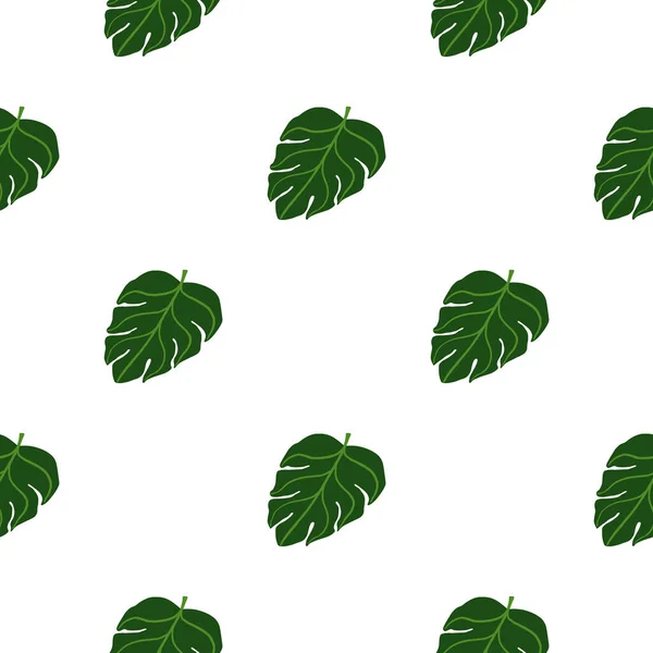 Botanique Isolée Motif Sans Couture Avec Vert Doodle Tropique Monstera — Image vectorielle