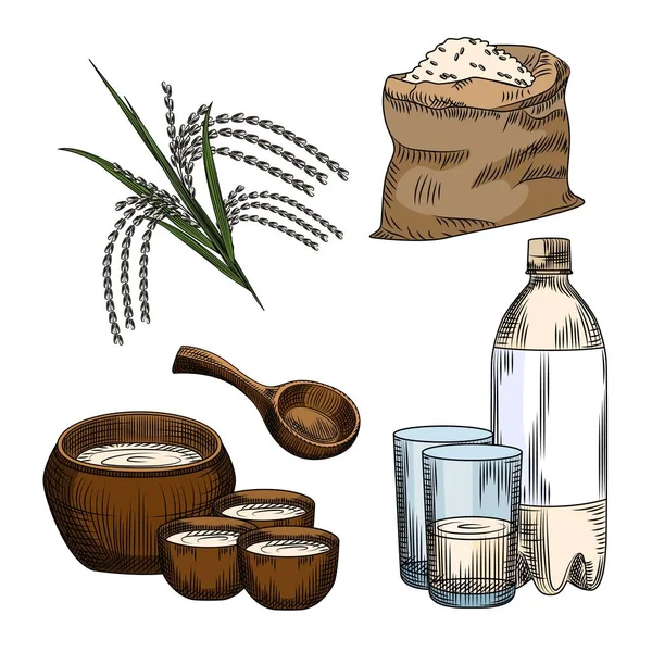 Makgeolli seti. Geleneksel Kore alkolü pirinç şarabı içer. Bir torba pirinç, plastik şişe, cam, seramik malzeme, beyaz arka planda izole edilmiş pirinç dalı. Klasik oyma stil. Vektör illüstrasyonu