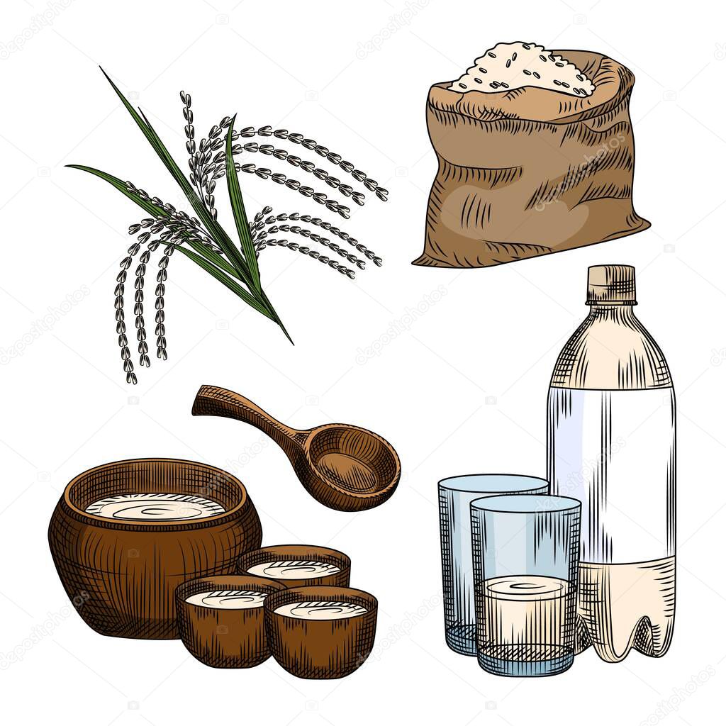 Set of makgeolli. Korean traditional alcohol drink rice wine. Bag of rice, plastic bottle, glass, ceramic ware, branch of rice isolated on white background. Vintage engraved style. Vector illustration