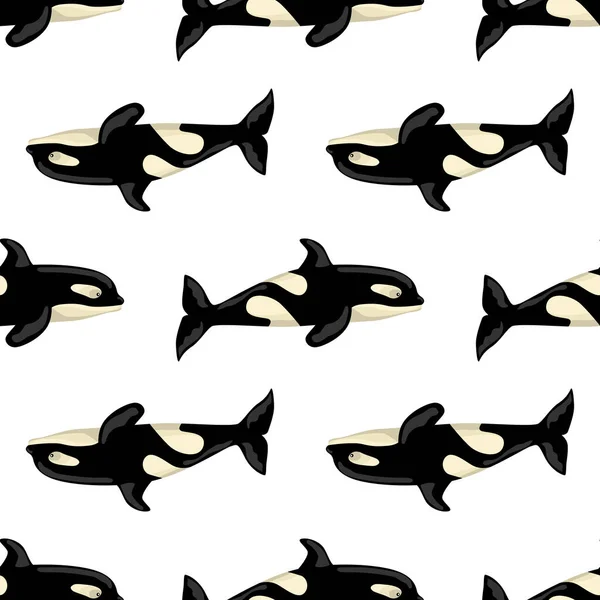 白色背景的无缝图案欧卡 儿童海洋卡通人物模板 与海洋鲸目动物重复几何反转纹理 任何目的的设计 矢量说明 — 图库矢量图片