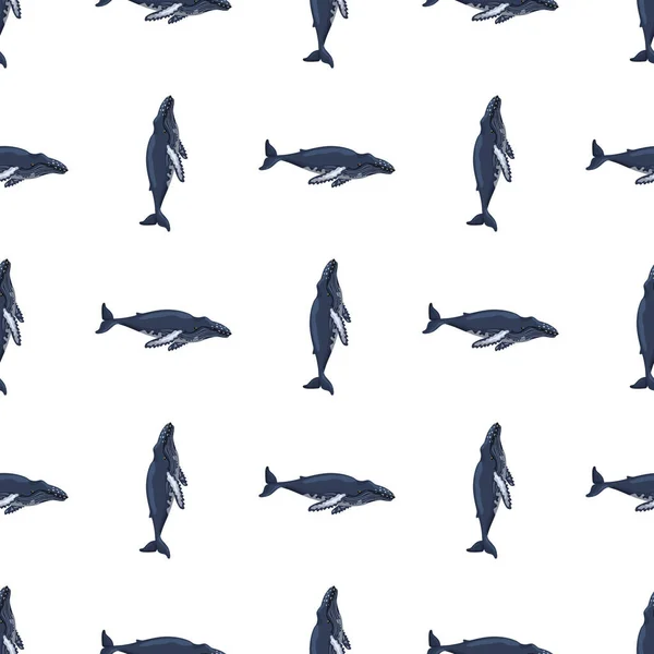白色背景的无缝线座头鲸 儿童海洋卡通人物模板 几何重复纹理与海洋鲸目动物 任何目的的设计 矢量说明 — 图库矢量图片