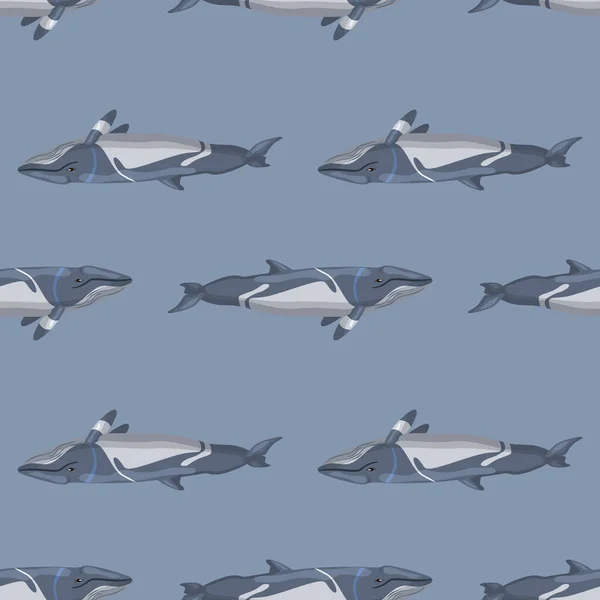 Patrón Inconsútil Rorqual Menor Sobre Fondo Gris Plantilla Personaje Dibujos — Vector de stock