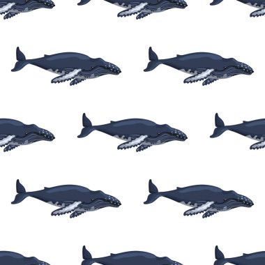 Beyaz arka planda kusursuz kambur balina deseni. Çocuklar için okyanus karakteri şablonu. Deniz memelisi ile tekrarlanan doku. Herhangi bir amaç için tasarlandı. Vektör illüstrasyonu.