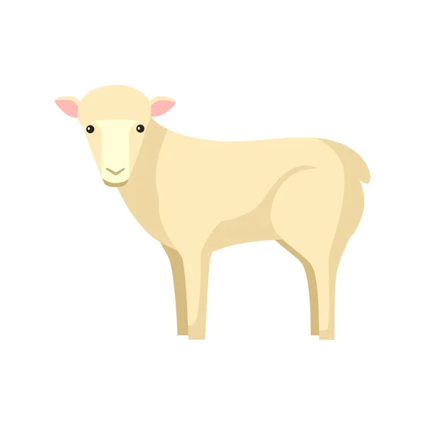 Cute Sheep Isolated White Background Funny Cartoon Character Farm White — Vector de stock