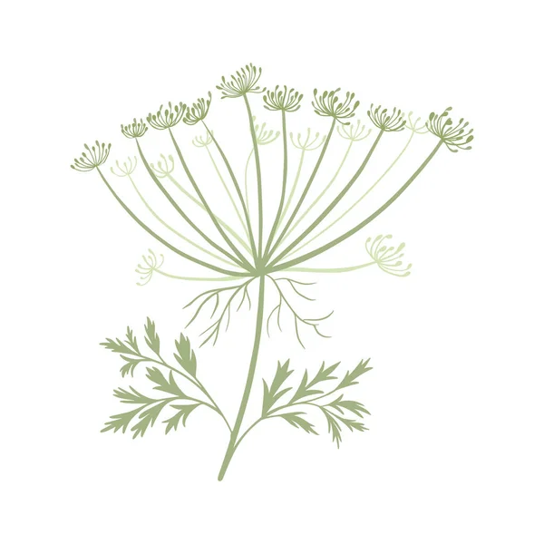 Hierba Ramita Verde Aislada Sobre Fondo Blanco Diseño Decorativo Estilo — Archivo Imágenes Vectoriales