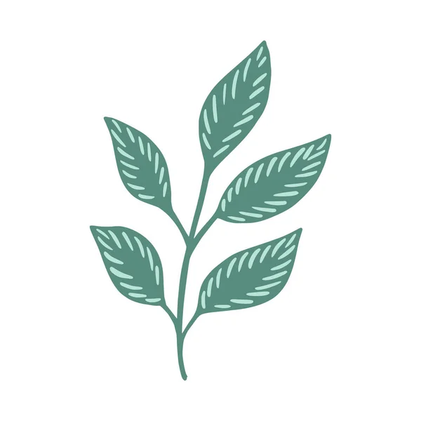 Grüner Zweig Isoliert Auf Weißem Hintergrund Dekoratives Design Doodle Stil — Stockvektor