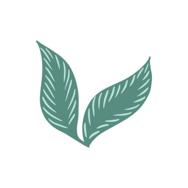 Yeşil yaprak beyaz arkaplanda izole edilmiş. Herhangi bir amaç için karalama tarzı dekoratif tasarım. Vektör illüstrasyonu.