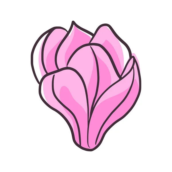 Krásné Japonské Magnólie Růžové Izolované Bílém Pozadí Jarní Květinový Pupen — Stockový vektor