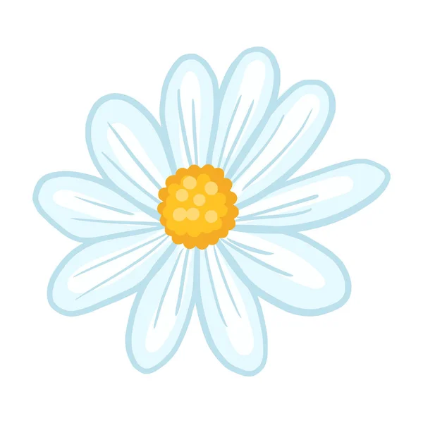 Ромашка Крупным Планом Изолированы Белом Фоне Весенний Цветок Стиле Каракули — стоковый вектор