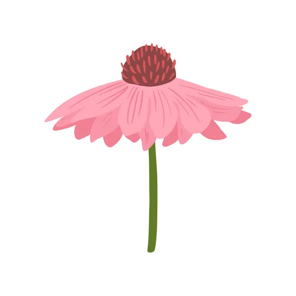 Gerbera Pink Closeup Isolated White Background Spring Flower Doodle Style — Stock Vector