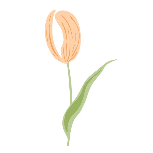 Estilizado Tulipa Rosa Isolado Fundo Branco Flor Primavera Estilo Doodle —  Vetores de Stock