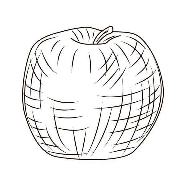 Apple Gravierten Stil Isoliert Auf Weißem Hintergrund Vintage Skizzen Umreißen — Stockvektor