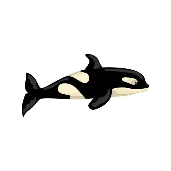 Orca Geïsoleerd Witte Achtergrond Cartoon Karakter Van Oceaan Voor Kinderen — Stockvector