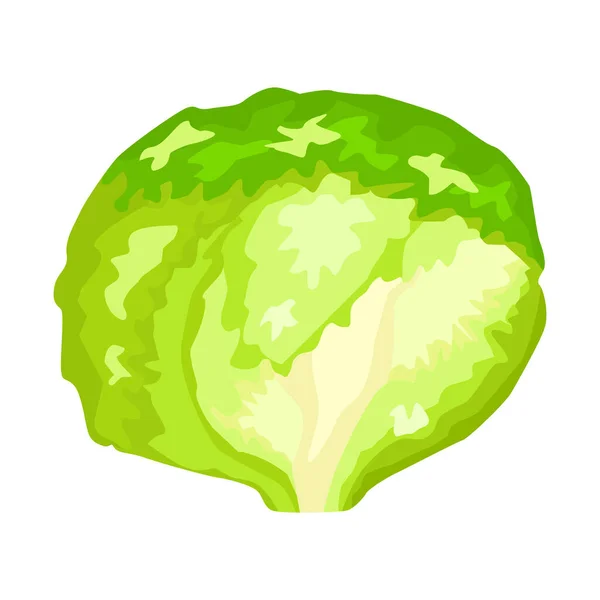 Lechuga Iceberg Aislada Sobre Fondo Blanco Ensalada Amable Estilo Plano — Vector de stock