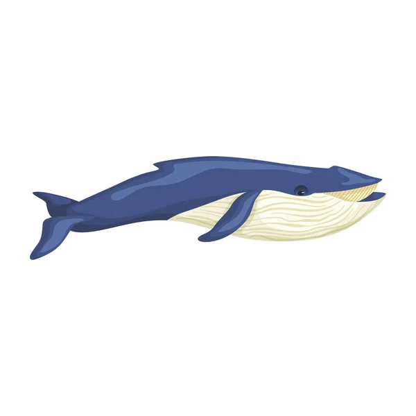 Blauwe Vinvis Geïsoleerd Witte Achtergrond Cartoon Karakter Van Oceaan Voor — Stockvector
