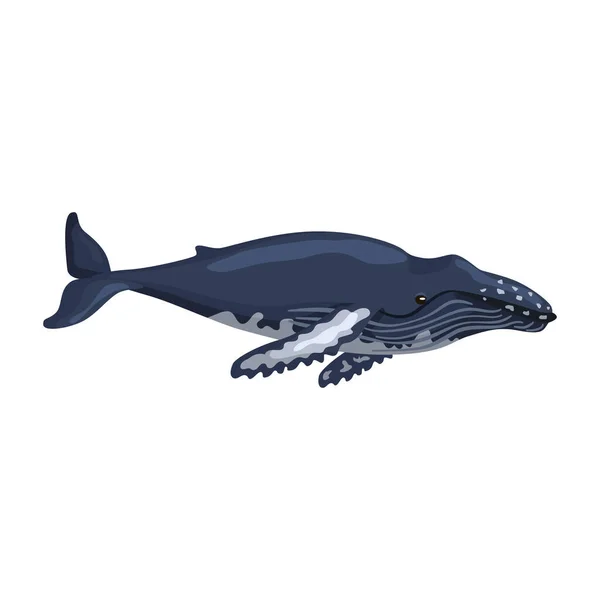 Bultrug Walvis Geïsoleerd Witte Achtergrond Cartoon Karakter Van Oceaan Voor — Stockvector