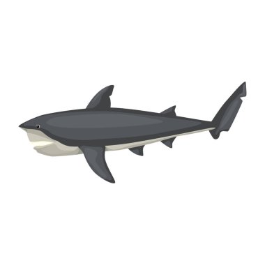 Boğa köpekbalığı beyaz arka planda izole edilmiş. Çocuklar için okyanusun çizgi film karakteri. Deniz memelilerinde basit bir iz. Herhangi bir amaç için tasarlandı. Vektör illüstrasyonu.