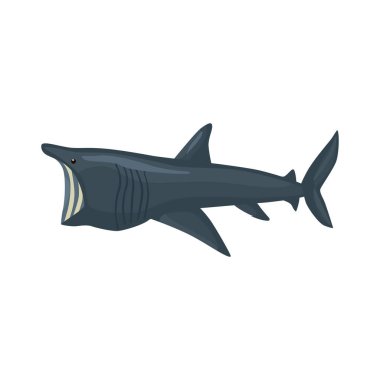 Parlayan köpekbalığı beyaz arka planda izole edilmiş. Çocuklar için okyanusun çizgi film karakteri. Deniz memelilerinde basit bir iz. Herhangi bir amaç için tasarlandı. Vektör illüstrasyonu.