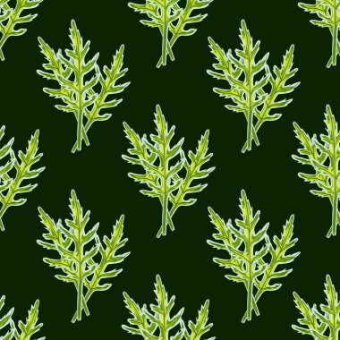 Arka planda kusursuz desenli roka salatası var. Marullu modern süs. Kumaş için geometrik bitki şablonu. Tasarım vektörü illüstrasyonu.