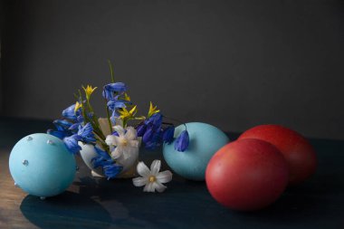Paskalya 'da mavi ve kırmızı yumurtalar, mavi ve beyaz bahar çiçekleri koyu arka planda