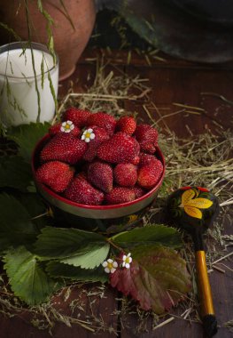 Bir kase taze çilek, üzerinde bir fincan süt olan koyu arka planda, seçici odak, dikey, seçici odak, sade anahtar..