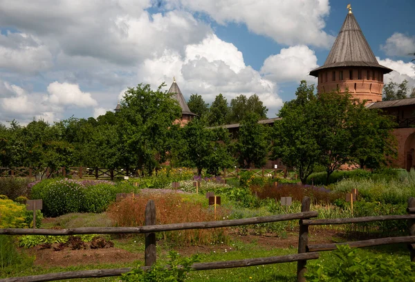 Jardín Hierbas Del Monasterio Spaso Efimiev Suzdal Rusia — Foto de Stock