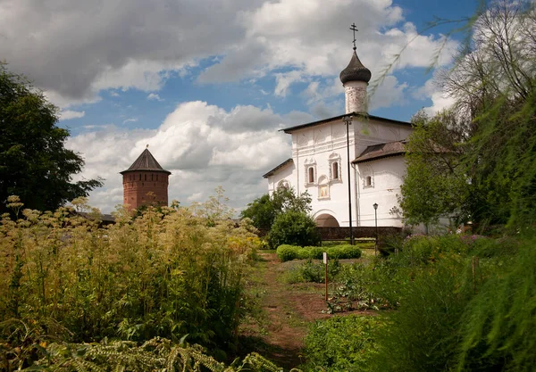 Валерійські Рослини Spaso Efimev Monastery Herb Garden Суздалі Росія — стокове фото