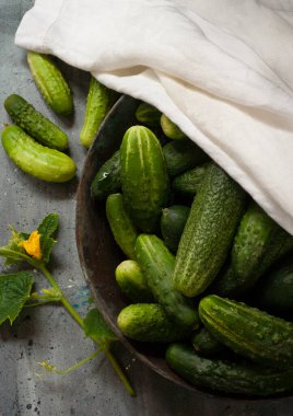 Beyaz havluyla metal kasede taze salatalıklar.