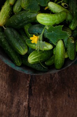 Taze salatalıklar ahşap masadaki eski metal kasede.