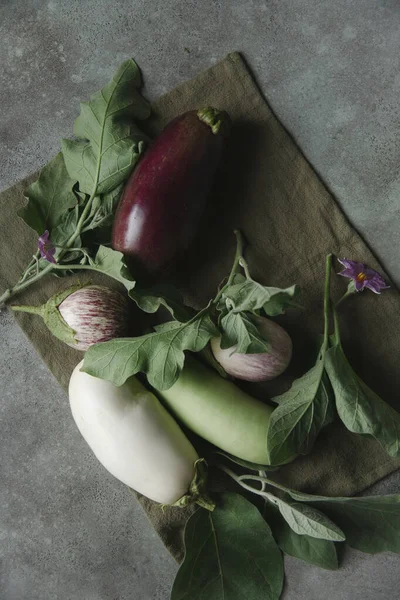 Grupo de berinjelas brancas, verdes, violetas e listradas com folhas e flores em fundo verde . — Fotografia de Stock