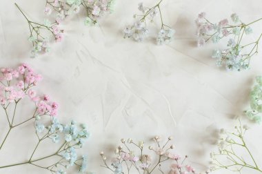 Açık arkaplanda renkli çigila çiçekleri deseni olan hassas bir çerçeve. Düz bir zemin, üst görünüm şenlik arka planı. Yumuşak odak