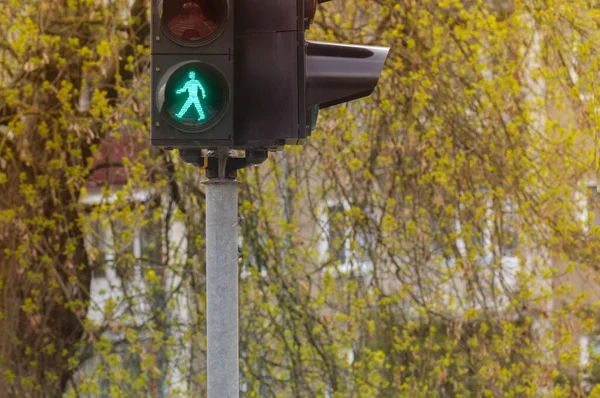 Grön Trafiksignal Närbild Med Kopieringsutrymme För Text — Stockfoto