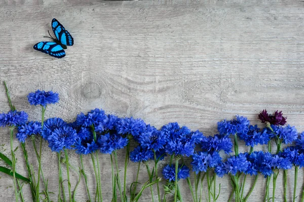 Row of blue cornflowers on gray wooden background bow tie and copy space