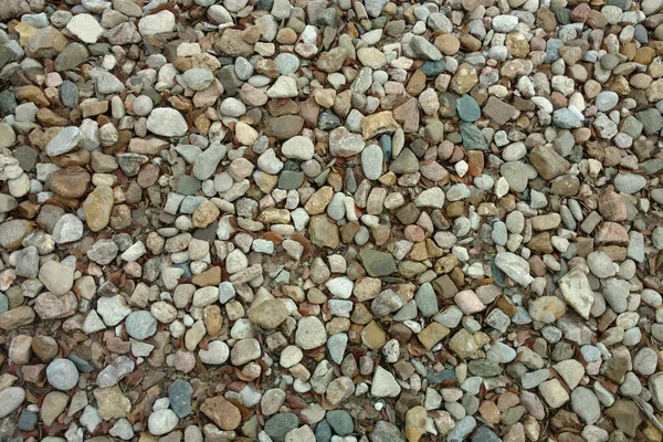 Widok Bliska Kamienia Żwirowa Skała Ścieżka Ogród Podwórkowy Szlak Nadaje — Zdjęcie stockowe