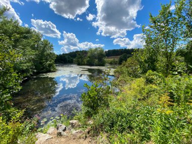Bereketli yapraklar ve mavi gökyüzü ile çarpıcı bir göl sahnesi parlak mavi bir gökyüzü ve suya yansıyan kabarık beyaz bulutlar.