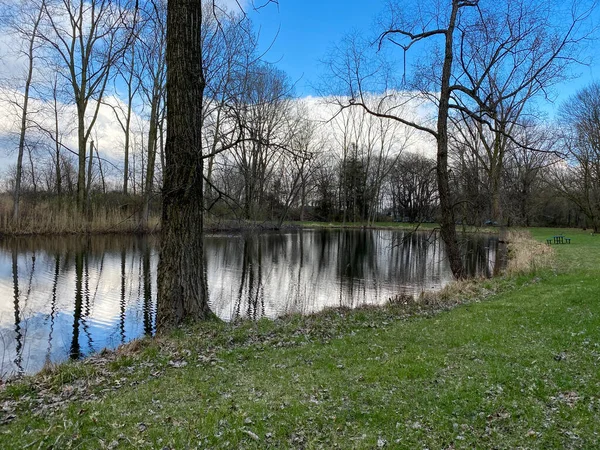 Skog Damm Park Område Höst Vintersäsong Med Höga Valnötsträd Och — Stockfoto