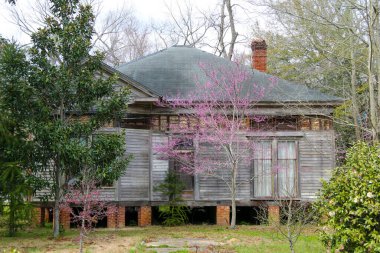 Yeşil ve mor ağaçlı terk edilmiş eski güneyli tarzı bir ev.