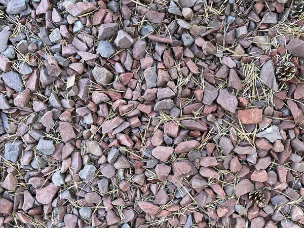 Крупным Планом Вид Красные Серые Каменные Скалы Покрытые Веточками Сосновыми — стоковое фото