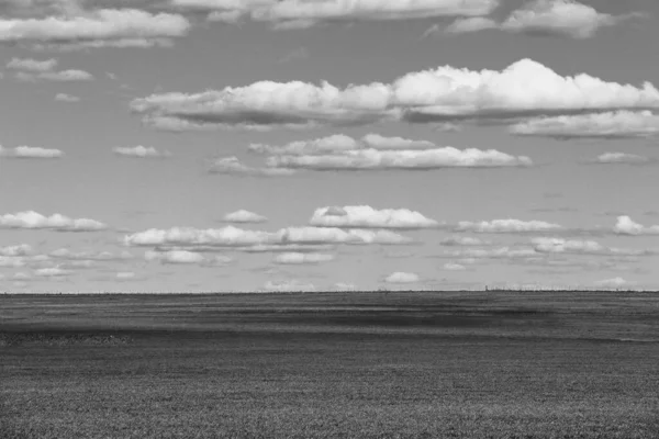 Schwarz Weißes Feld Und Wolkenverhangener Himmel Mit Kontrastreichen Filtereffekten Als — Stockfoto