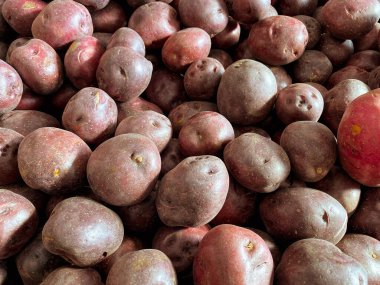 Büyük, soyulmamış kırmızı patates yığını bir çiftçi pazarında sergileniyor.