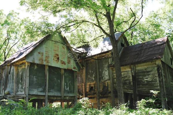 Abandoned Old Deserted Swamp Shack Buildings Damaged Weather Time Elements Royalty Free Stock Photos