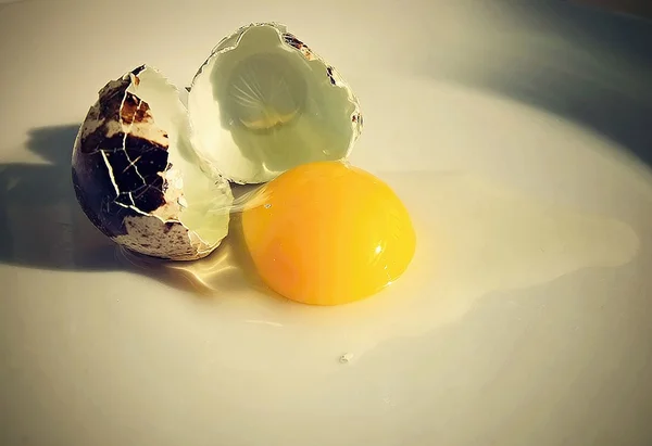 Kırık bıldırcın yumurtası.