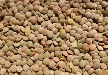 Yemek pişirmek için hazırlanan sağlıklı kahverengi kuru mercimek.