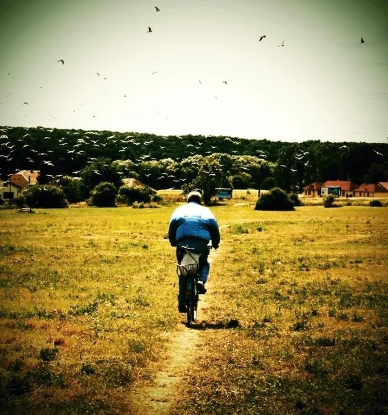 adam bir bisiklet kuşlar akın.