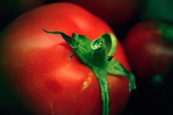 Karanlık bir arka plan üzerinde kırmızı domates.