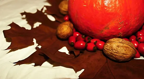 Sonbahar sakin bir hayat.