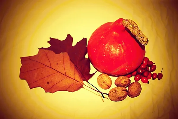 Vintage sonbahar natürmort.