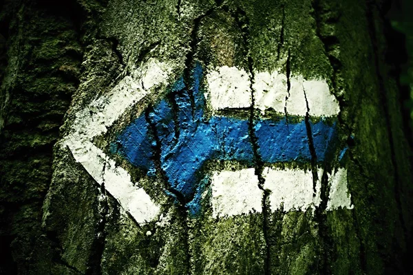 Yön tanımlama ağaç üstünde belgili tanımlık ok.