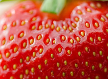 Taze, olgun çilek yakın çekim. Çilek makro fotoğraf
